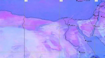 شبورة مائية وأمطار متفرقة تؤثران على حركة المرور في مناطق محددة اليوم